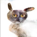 Новые рейджи 2025/26 и прочее вымогательство Новые рейджи 2025/26 и прочее вымогательство